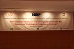 ICRP Seminar "Radiological Protection in Medicine", 2 October 2010